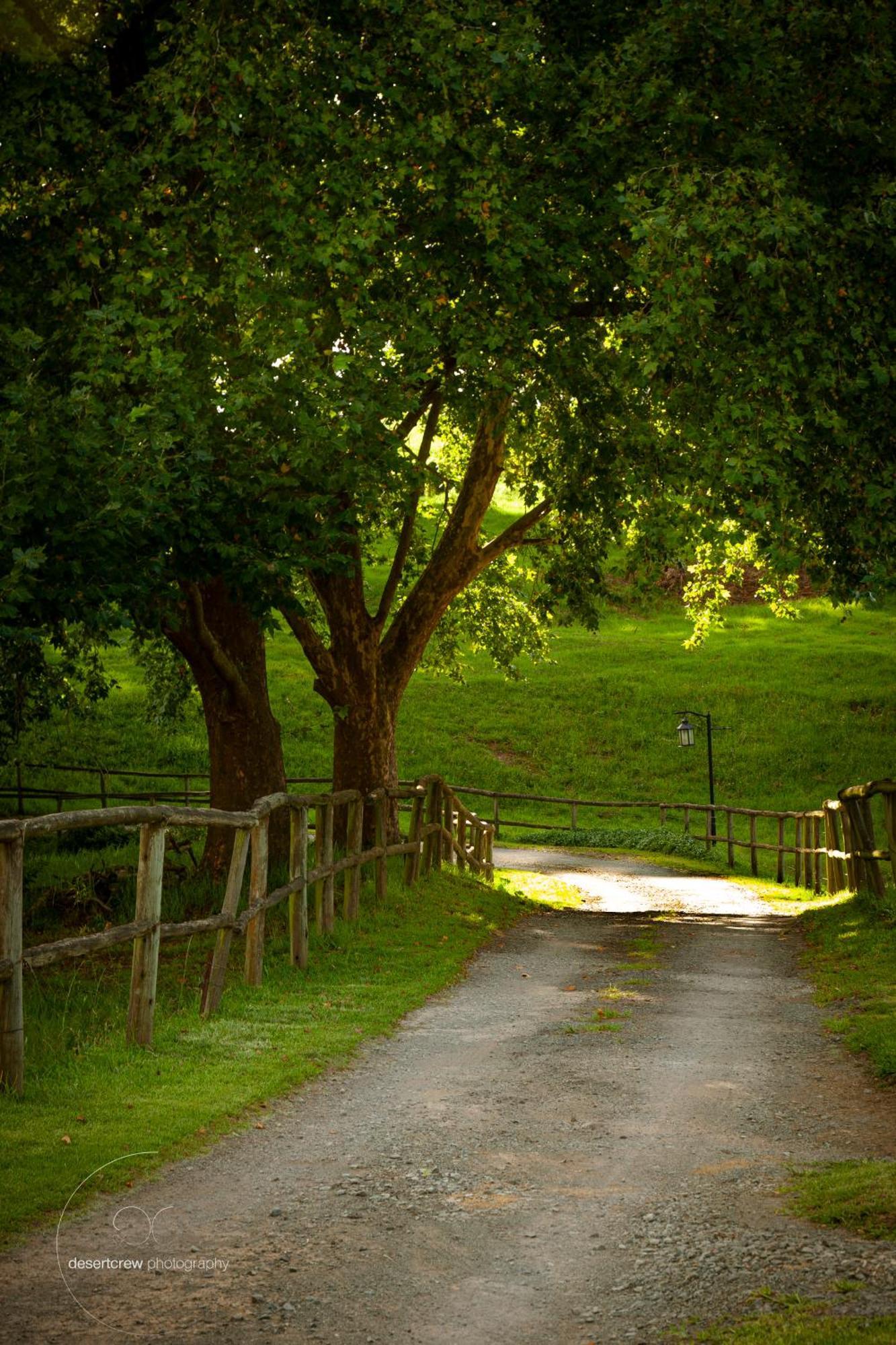 Newstead Farm - Country Cottages Curry's Post Bagian luar foto
