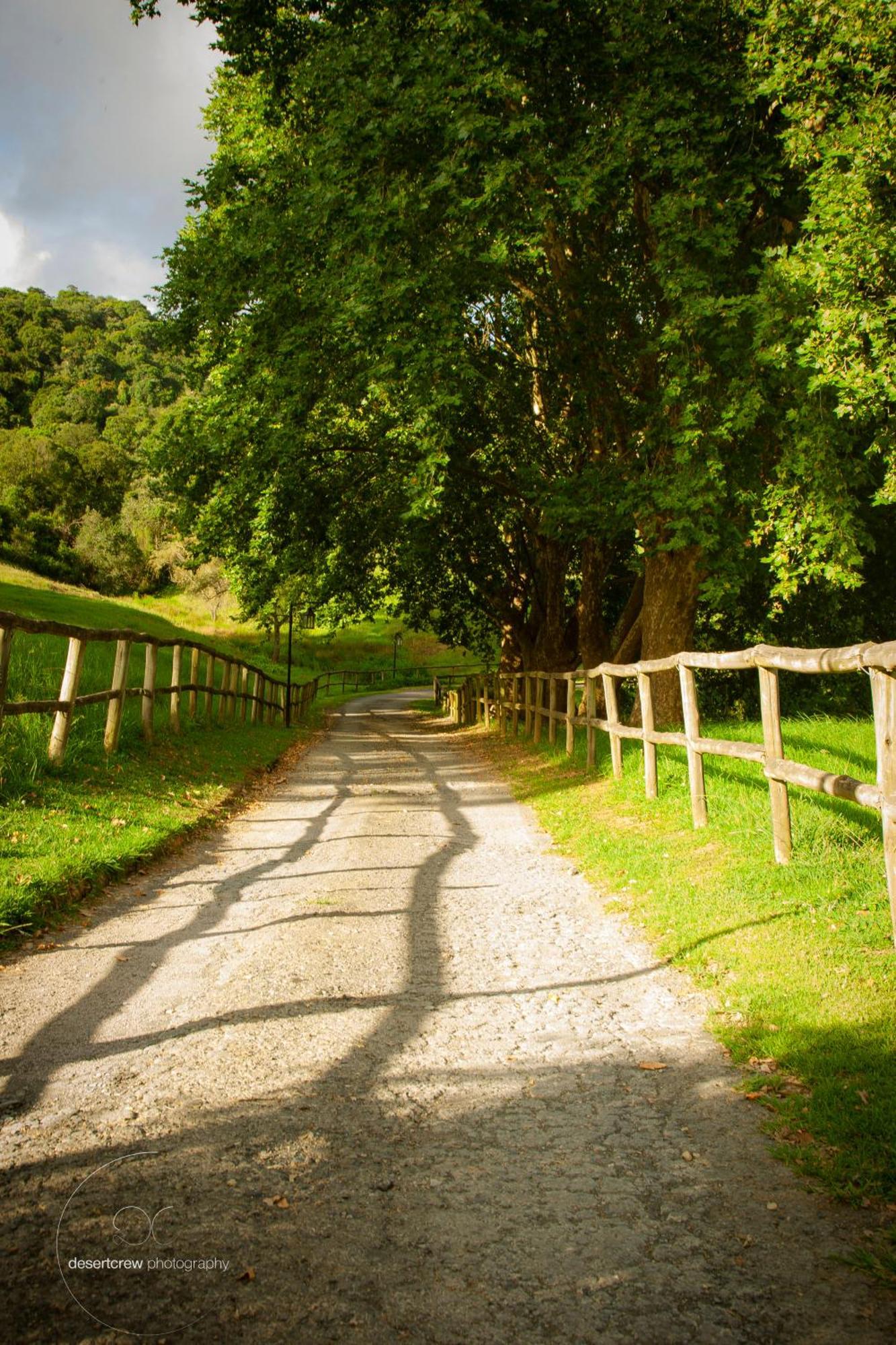 Newstead Farm - Country Cottages Curry's Post Bagian luar foto